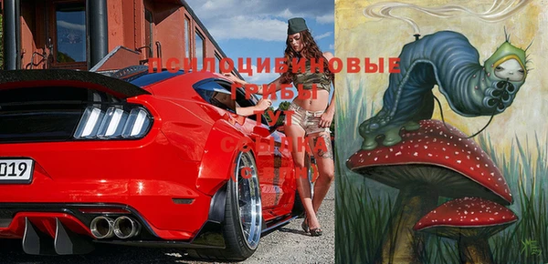 спиды Кукмор