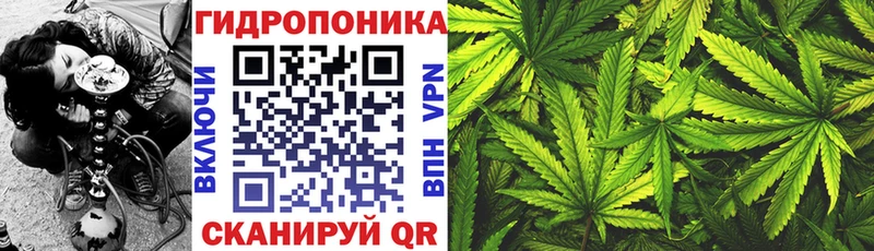 Купить закладки  Кострома  Шишки марихуана OG Kush 